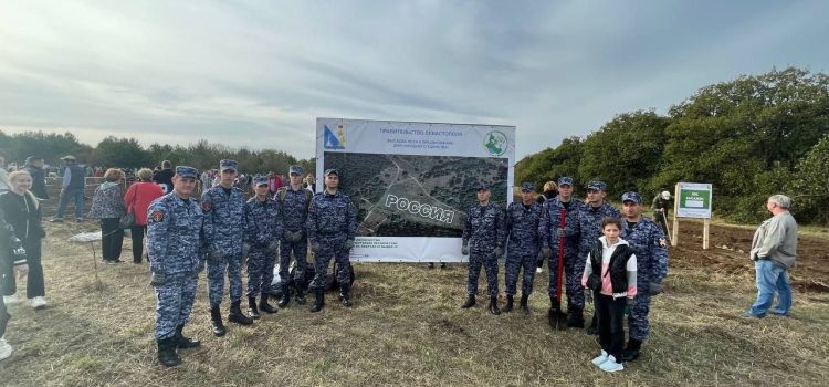 Когда деревья станут большими